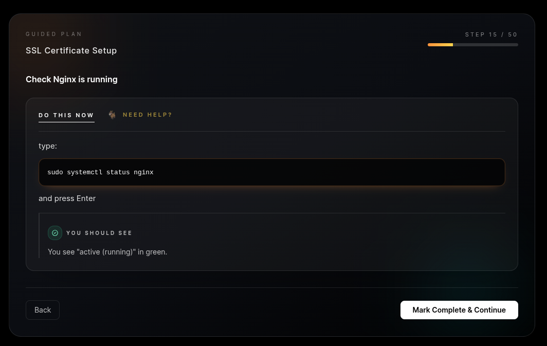 Browser padlock icon verification